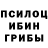 Псилоцибиновые грибы мицелий Rafael Ganiev