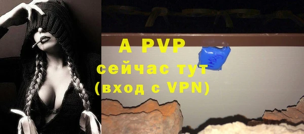 крисы Осинники