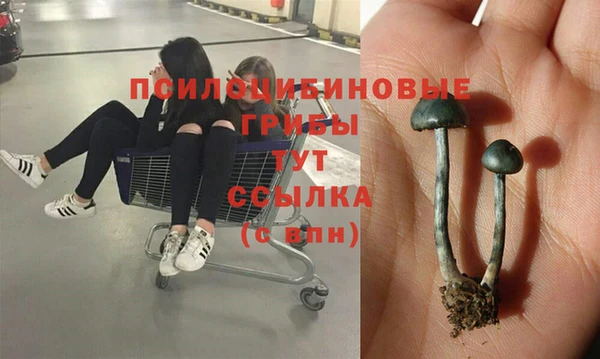стафф Осташков