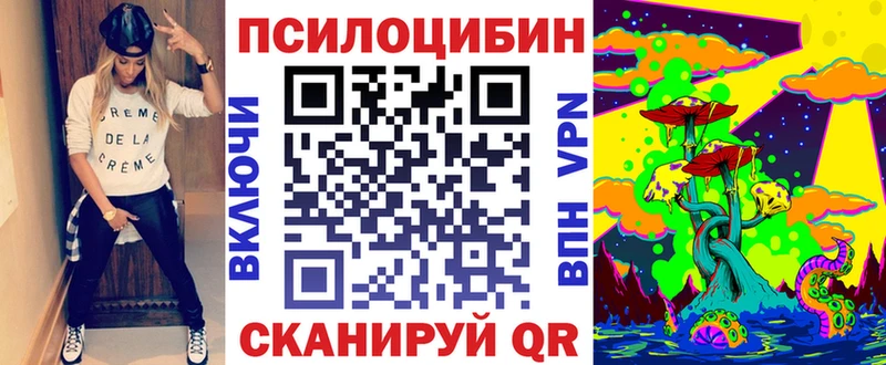 Галлюциногенные грибы мицелий  купить наркоту  Чудово 