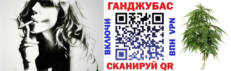 Конопля сатива  Чудово 